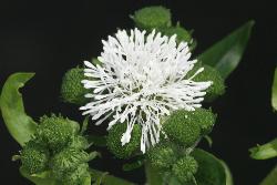 Image: Trevor James © Trevor James 